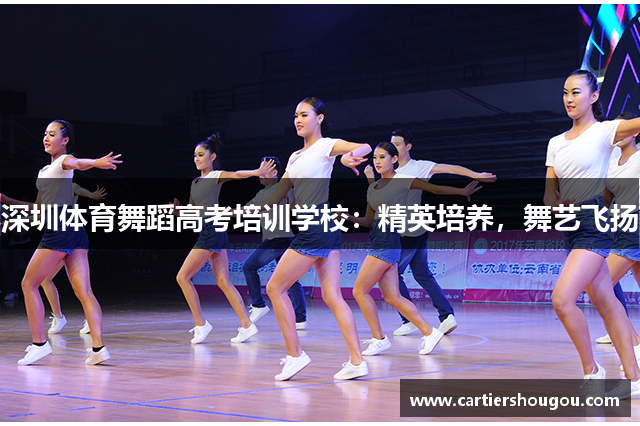 深圳体育舞蹈高考培训学校：精英培养，舞艺飞扬